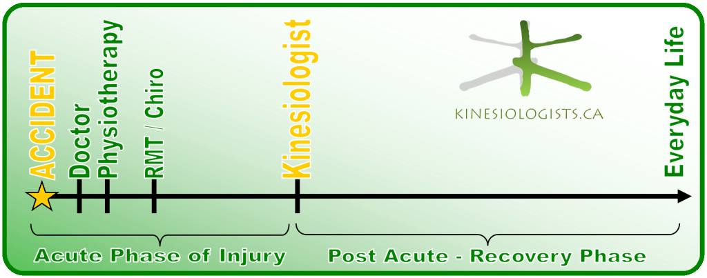 Active Rehab Process and the Kinesiologist Active Rehab Process and the Kinesiologist