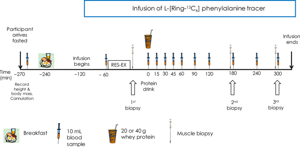phy212893-fig-0001