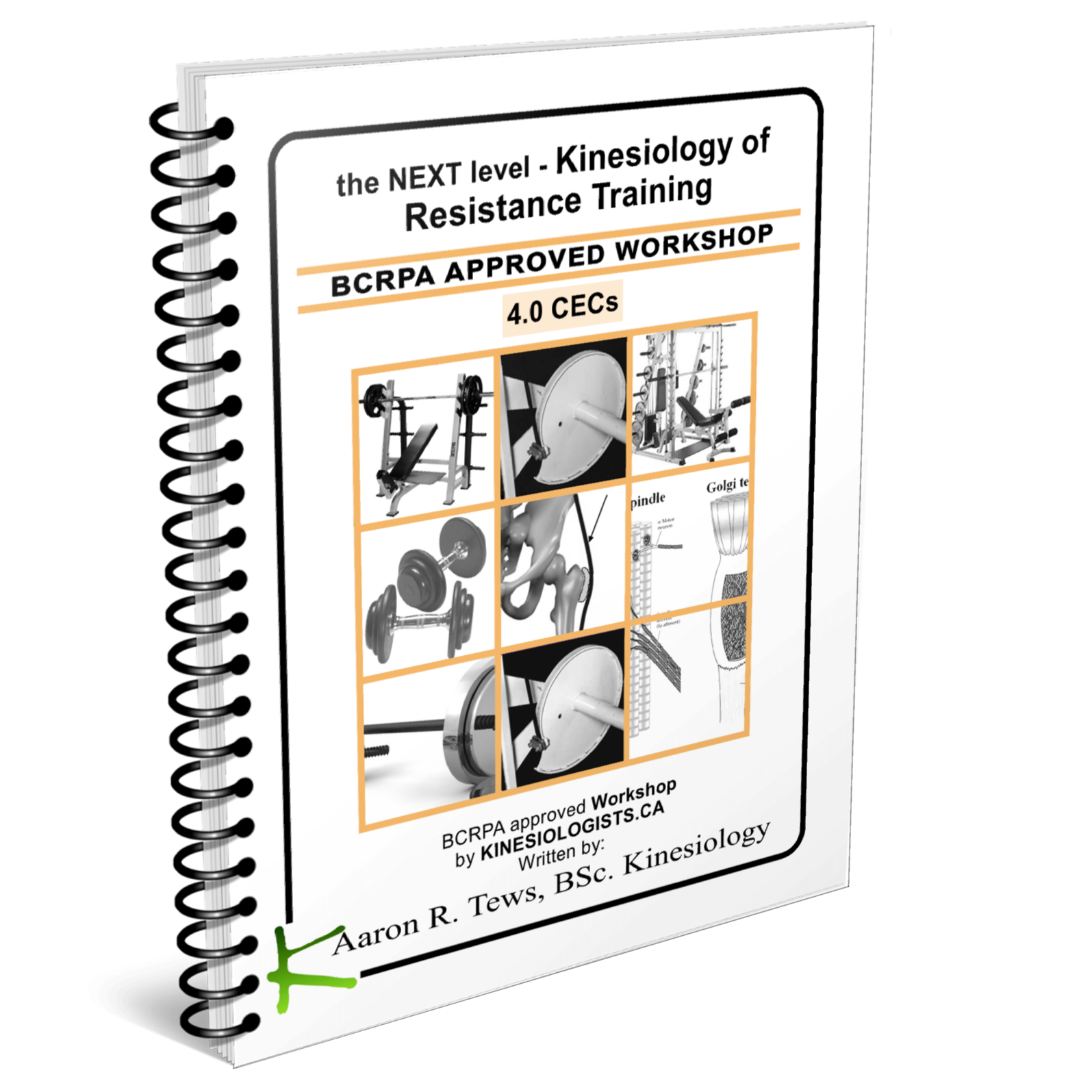 Kinesiology of Resistance Training Online Workshop (4 BCRPA CECs)