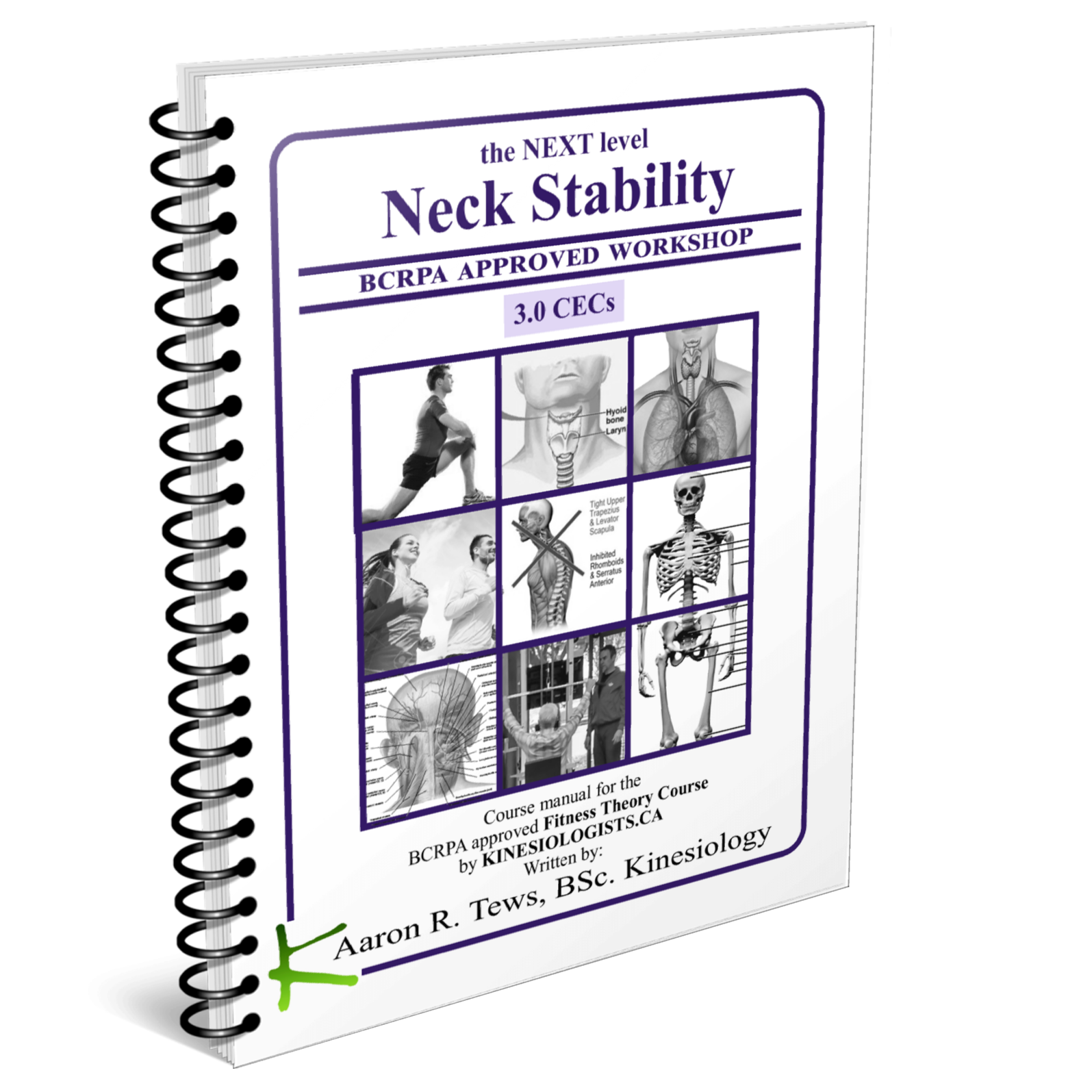 NECK Core Stabilization Online Workshop (3 BCRPA CECs)