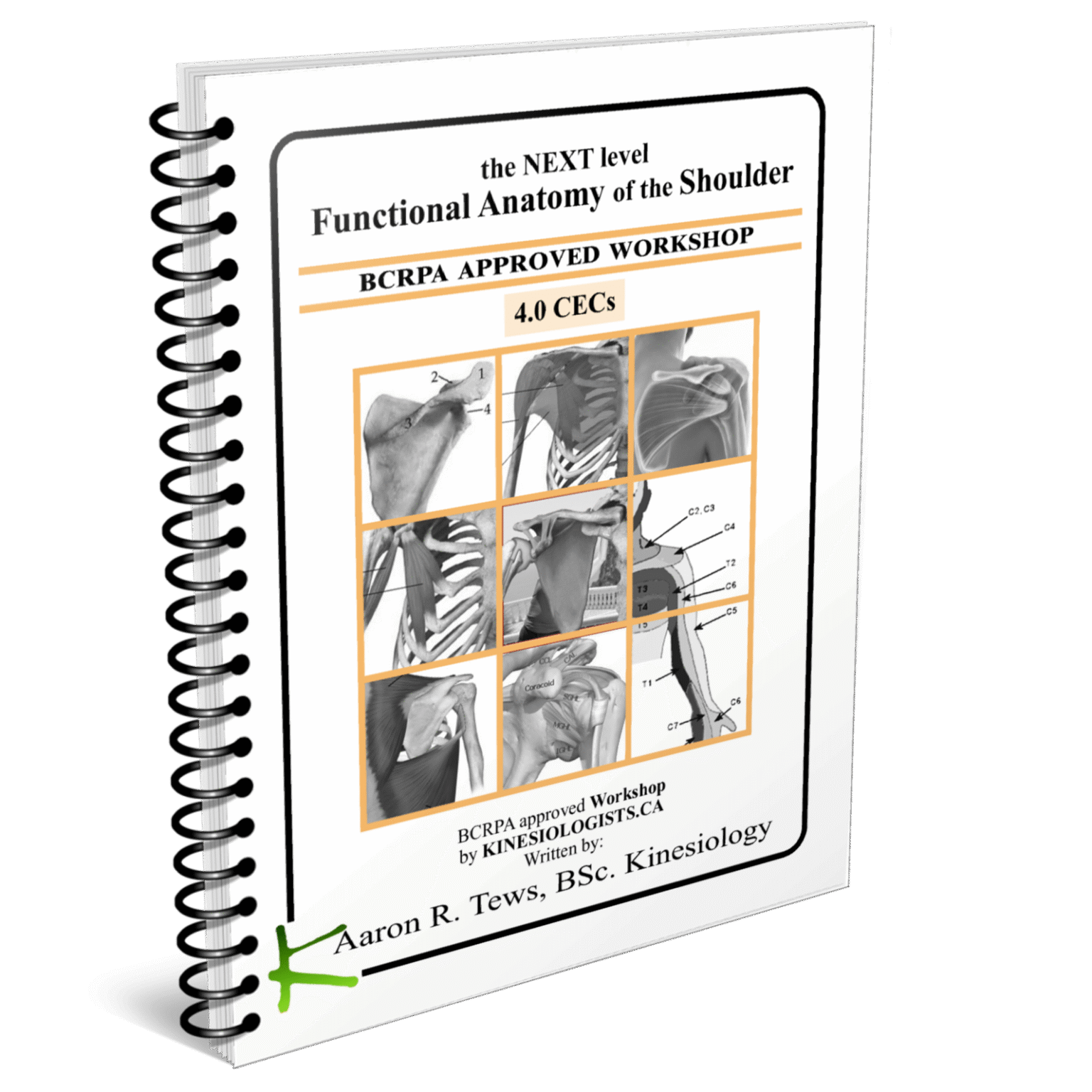 Functional Anatomy of the SHOULDER Online Workshop (4 BCRPA CECs ...
